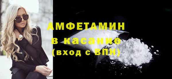 гидра Тында