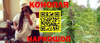 jwh Бийск