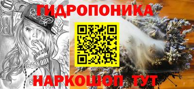 jwh Бийск