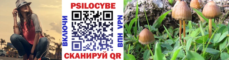 Галлюциногенные грибы Magic Shrooms  MEGA зеркало  Гудермес 