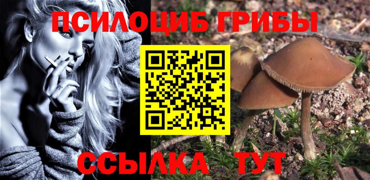 Псилоцибиновые грибы Cubensis  Вход с VPN  Галлюциногенные грибы GOLDEN TEACHER  Гудермес 