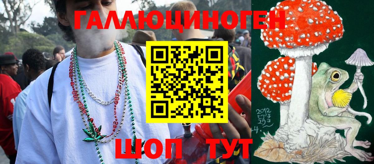 Псилоцибиновые грибы мухоморы Гудермес